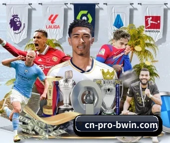 必赢体育 APP - bwin